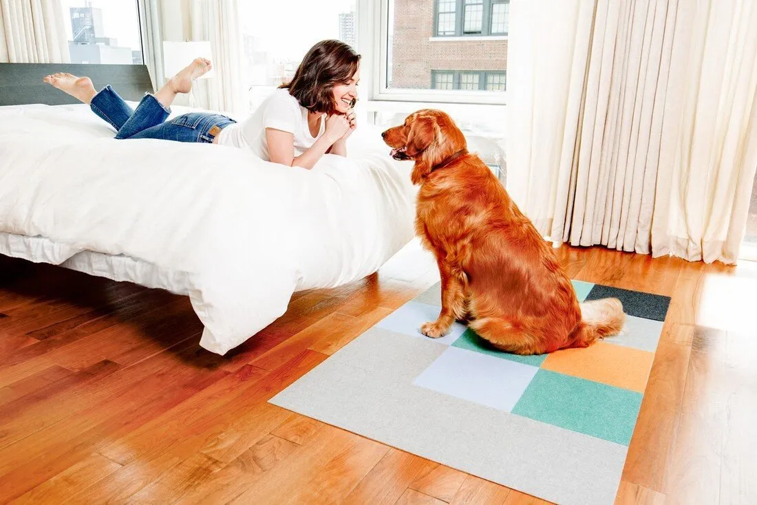 25% OFF: Triluc Non-Slip Washable & Water-Repellent Pet Mat (Orange 4-Piece)