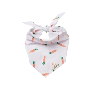 Bandanas - Carrot