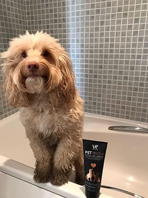 Best Dog Shampoo UK | Multi use for Dogs and Cats