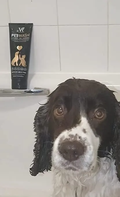 Best Dog Shampoo UK | Multi use for Dogs and Cats