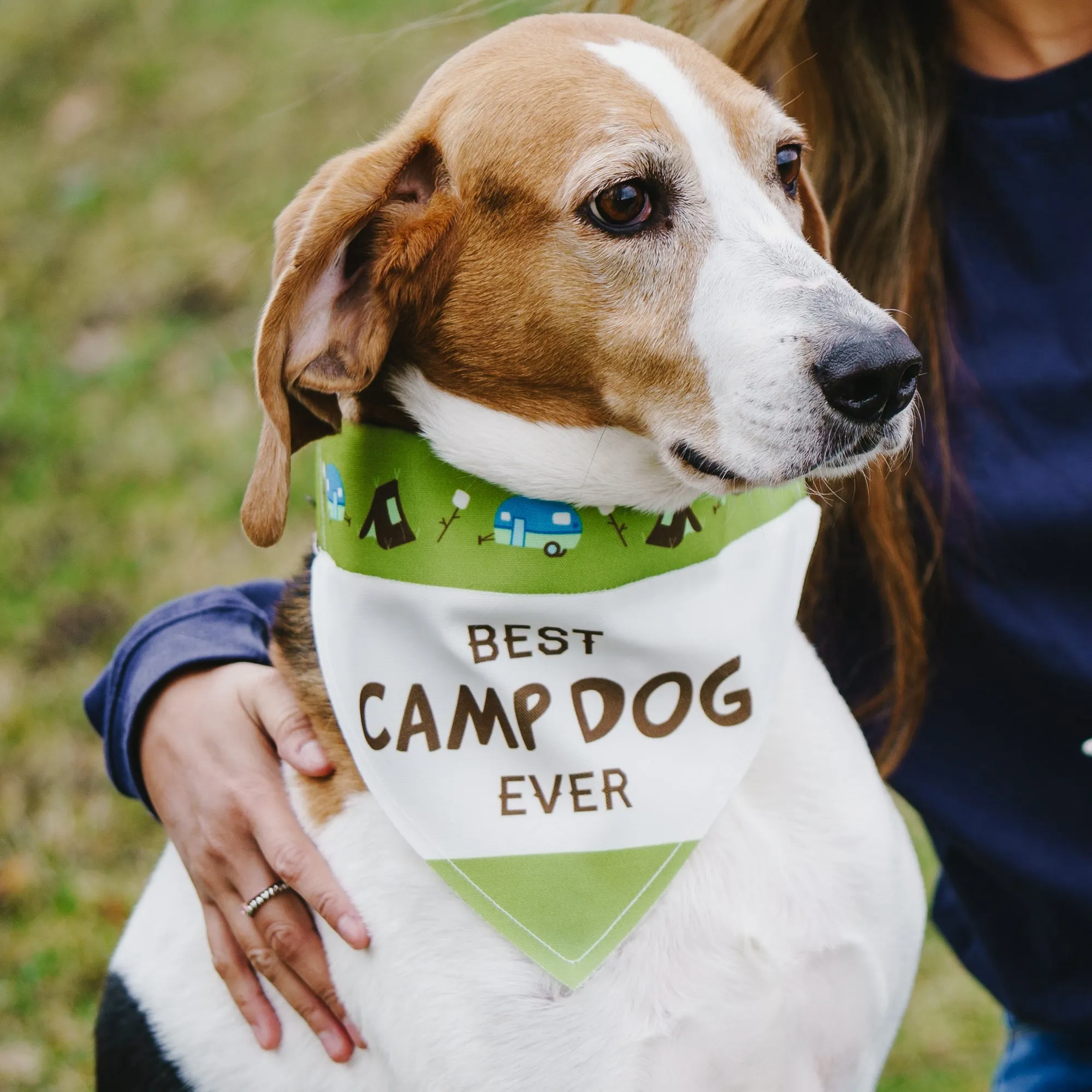 Camp Dog 12" x 8" Canvas Slip on Pet Bandana