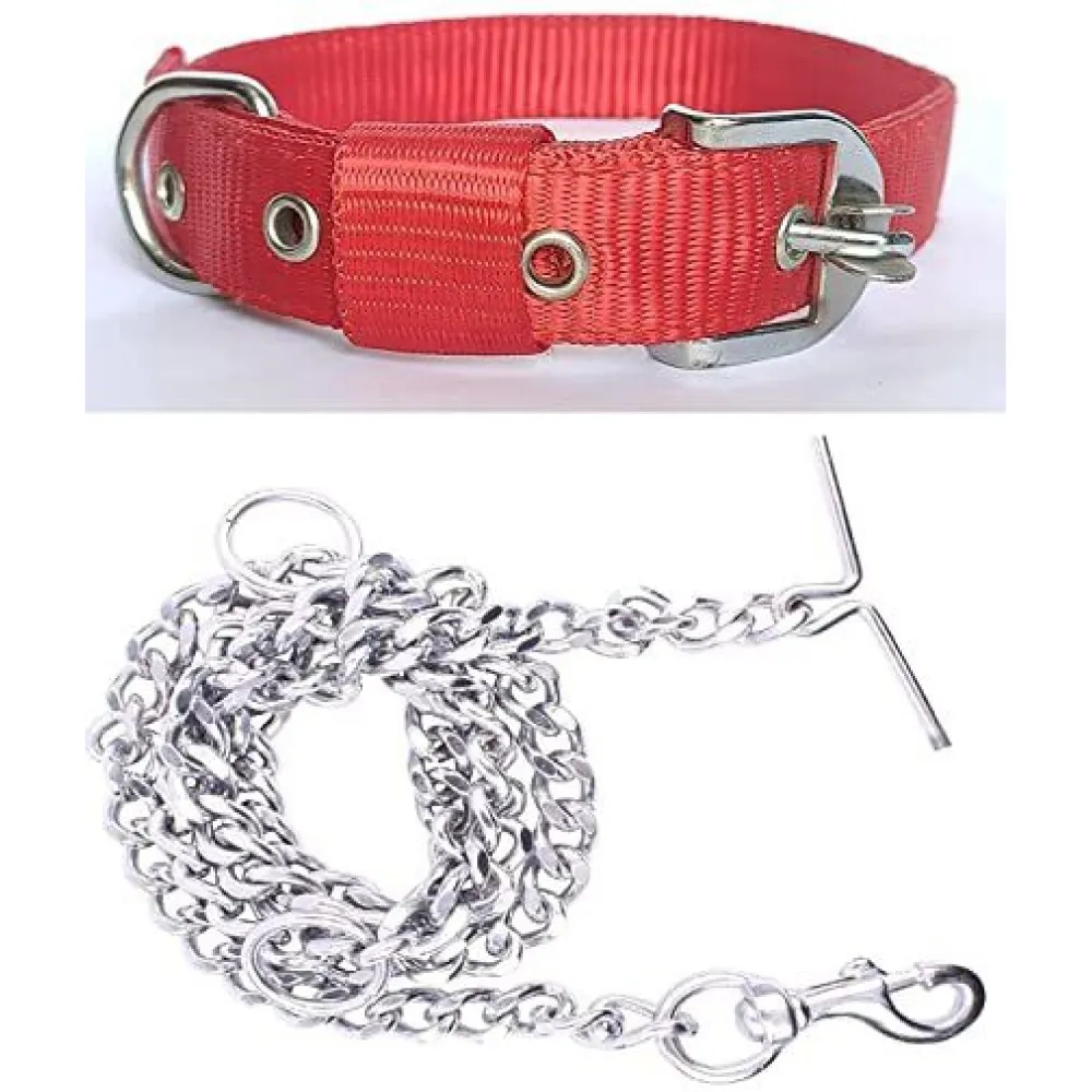 Chullbull Nylon Collar and Heavy Chain Leash for Dogs (Red)