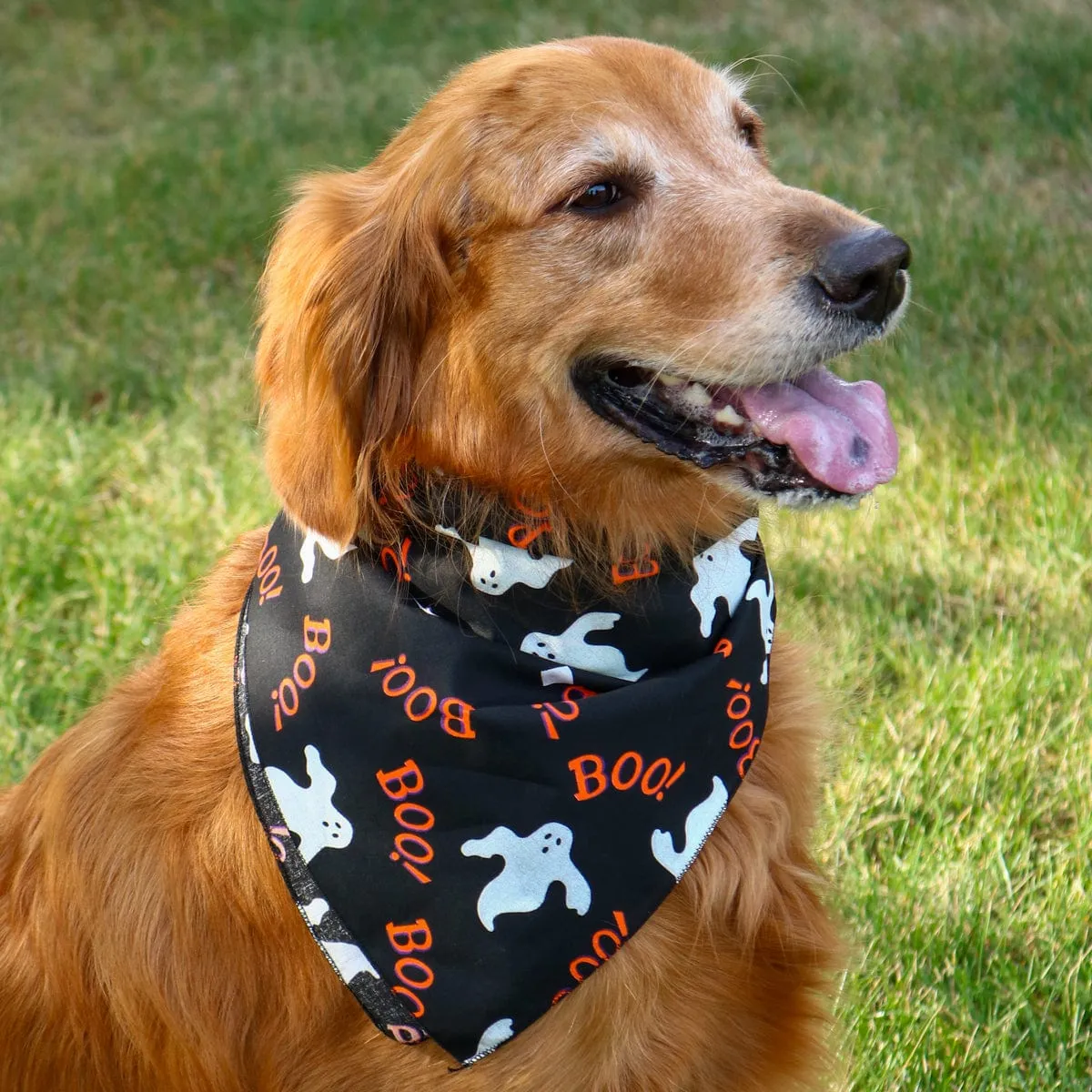 CTM® Glow In The Dark Halloween Boo Ghost Print Holiday Bandana