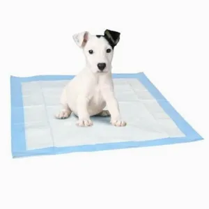 Deluxe XL Odor Control Puppy Training Pad - Set of 3