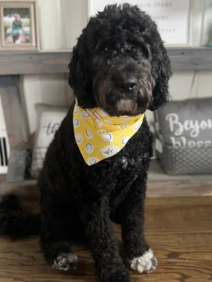 Dog Bandana - Smile Face Friends Yellow