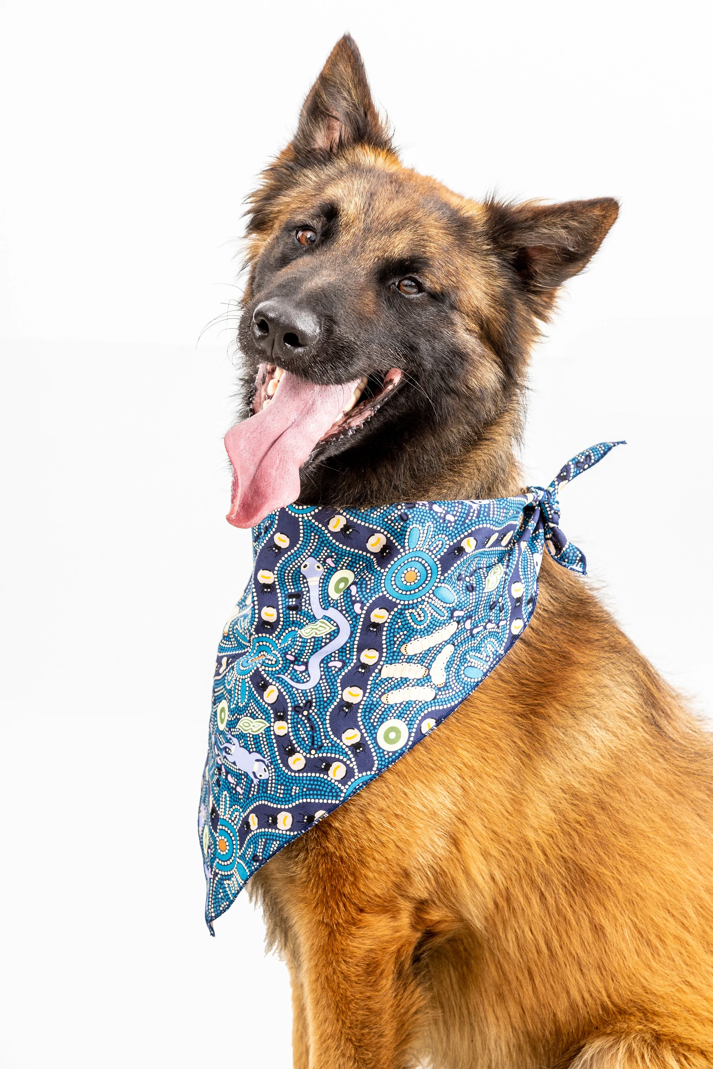 Doggie Bandanas