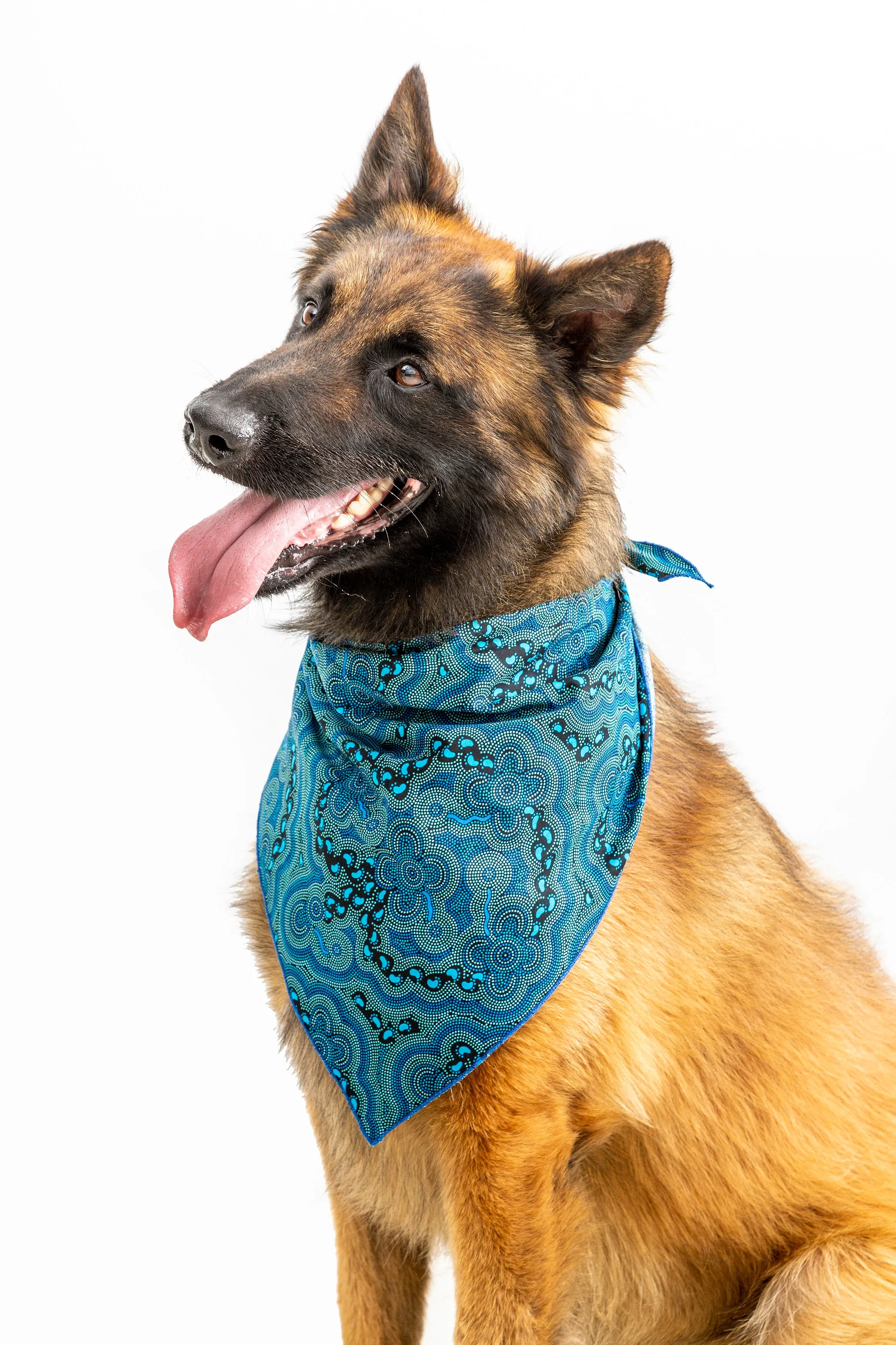 Doggie Bandanas