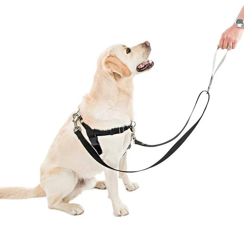 Freedom No-Pull Harness & Leash (Royal Blue/Navy Blue) For Dogs