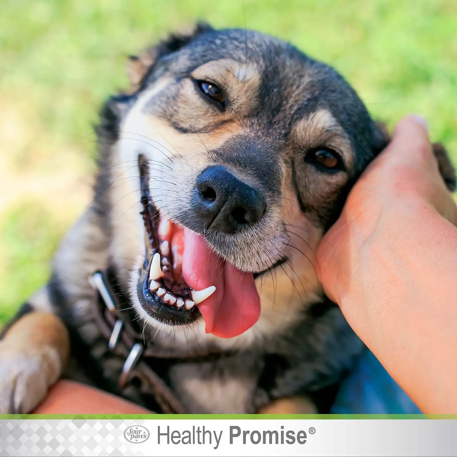 Healthy Promise Aloe Ear Mite Treatment For Dogs, 0.75 oz