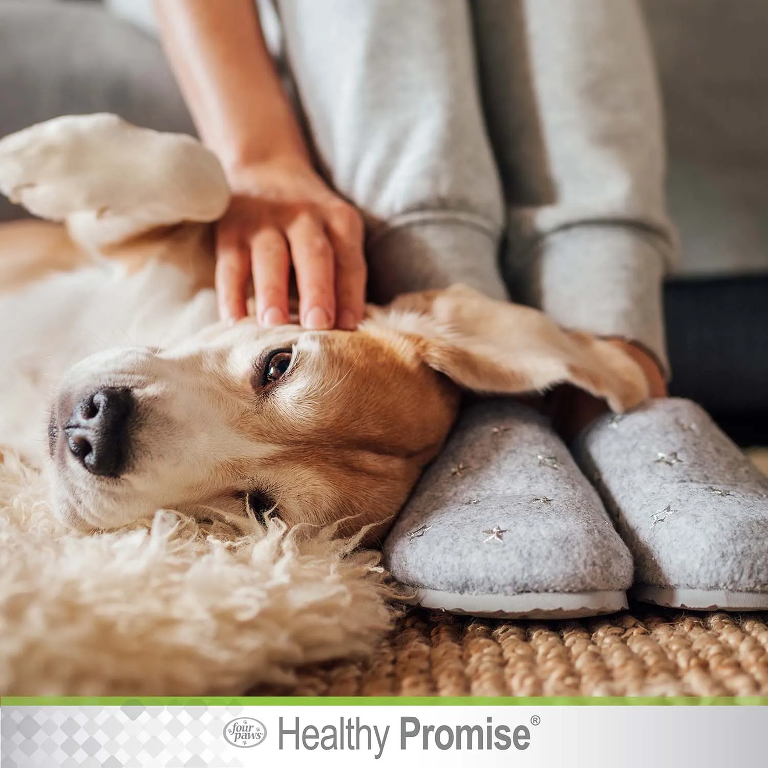 Healthy Promise Cat & Dog Ear Wipes, 35 ct