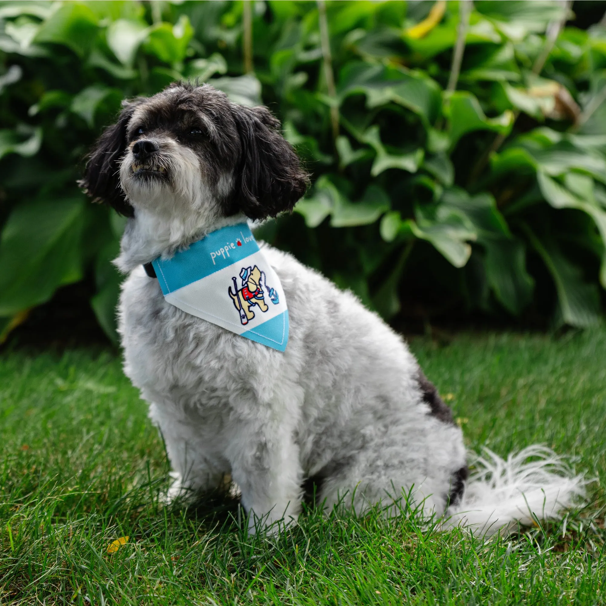 Lake 12" x 8" Canvas Slip on Pet Bandana