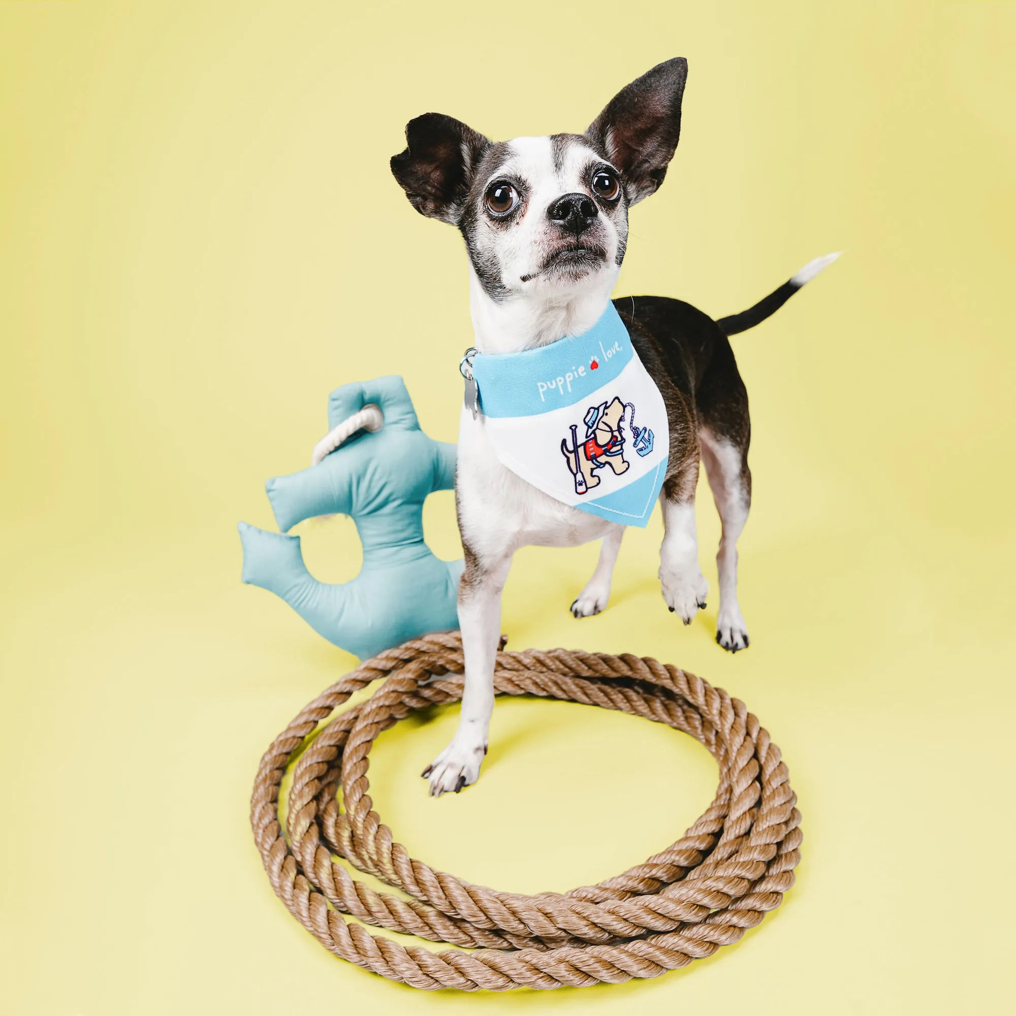 Lake 12" x 8" Canvas Slip on Pet Bandana