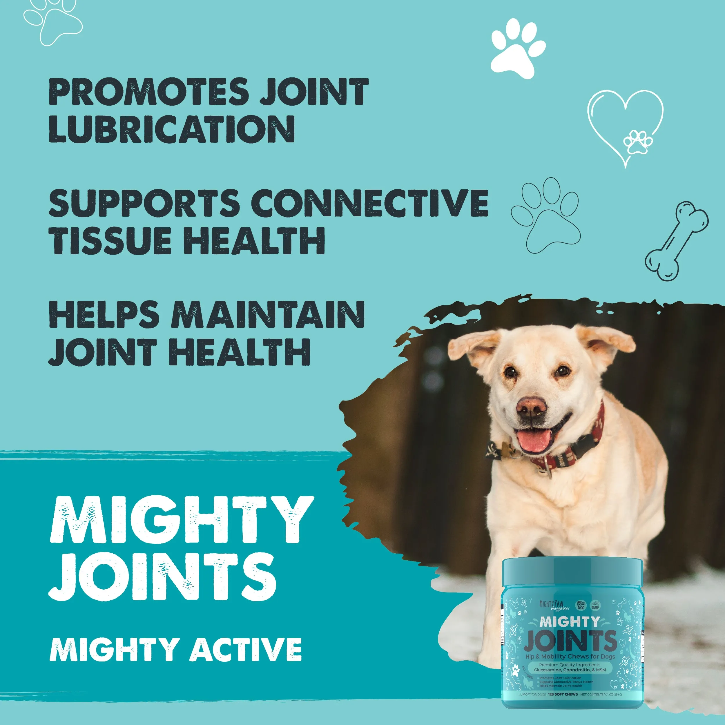 Mighty Joints Hip and Joint Supplement: Mobility Support for Dogs