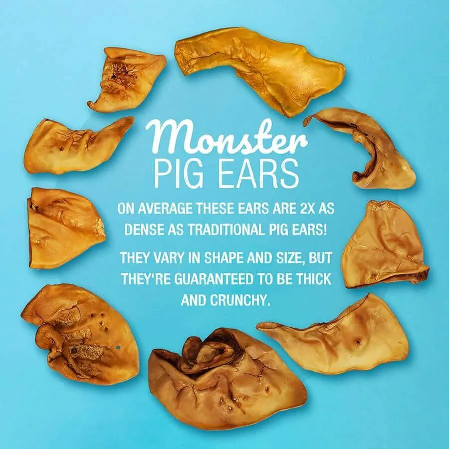 Monster Pig Ears