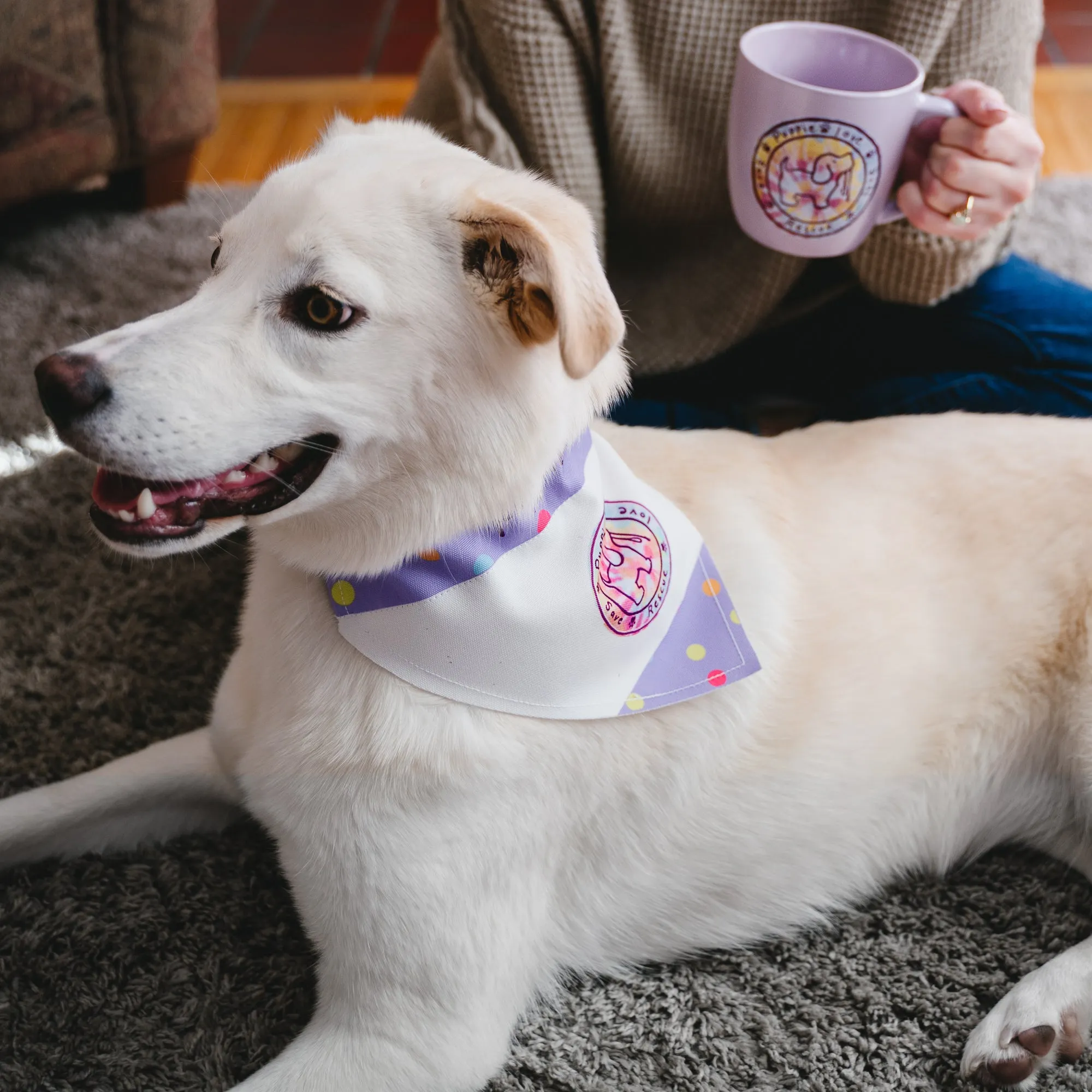 Pink Tie Dye Filled Logo 7" x 5" Canvas Slip on Pet Bandana