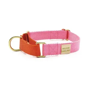 Pink with Orange Martingale Dog Collar