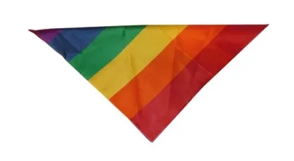 Rainbow Bandanas