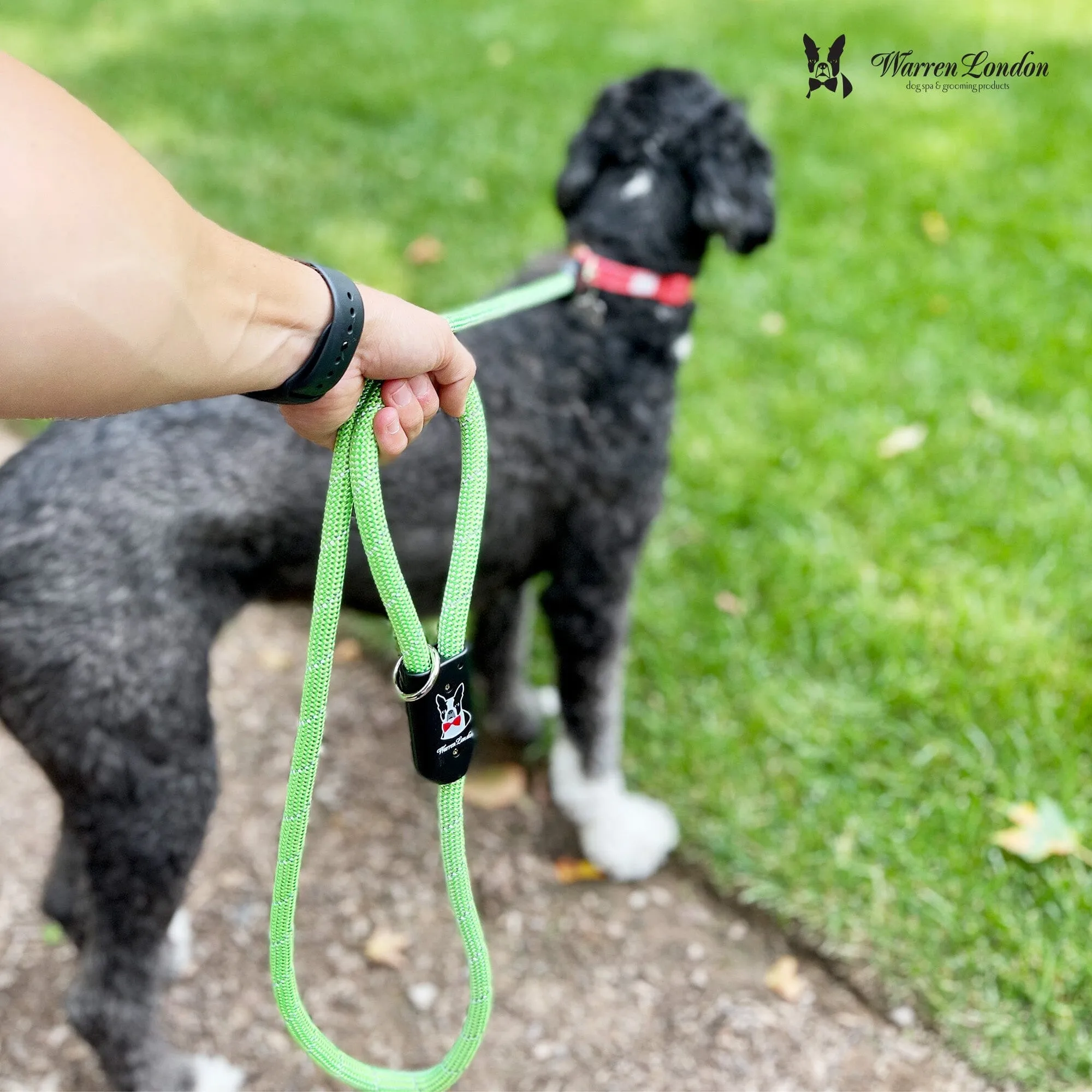 Rope Leash - Green Reflective