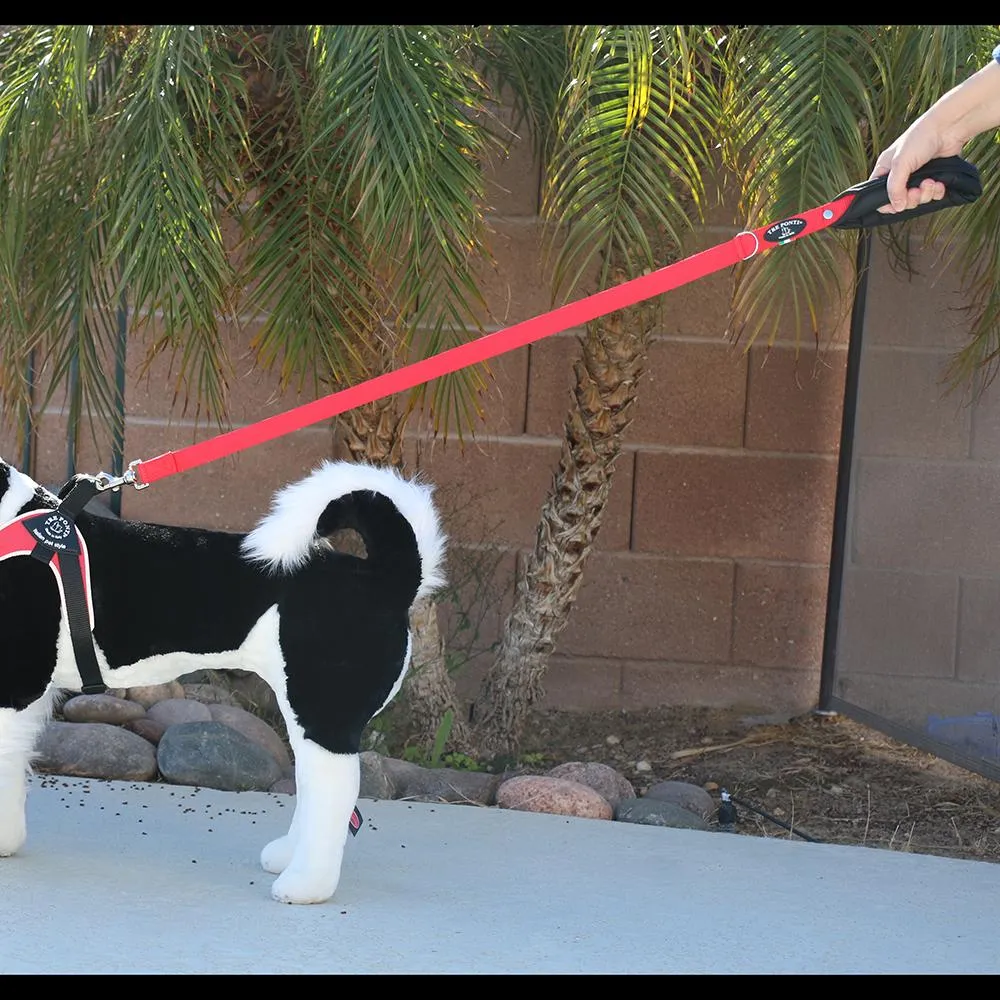 Single Handle Leash