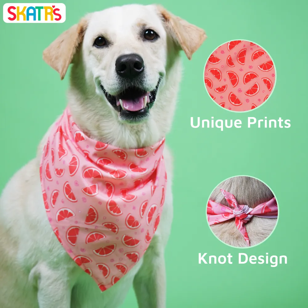 Skatrs Bandana for Dogs Fashionable and Fun (Pink)