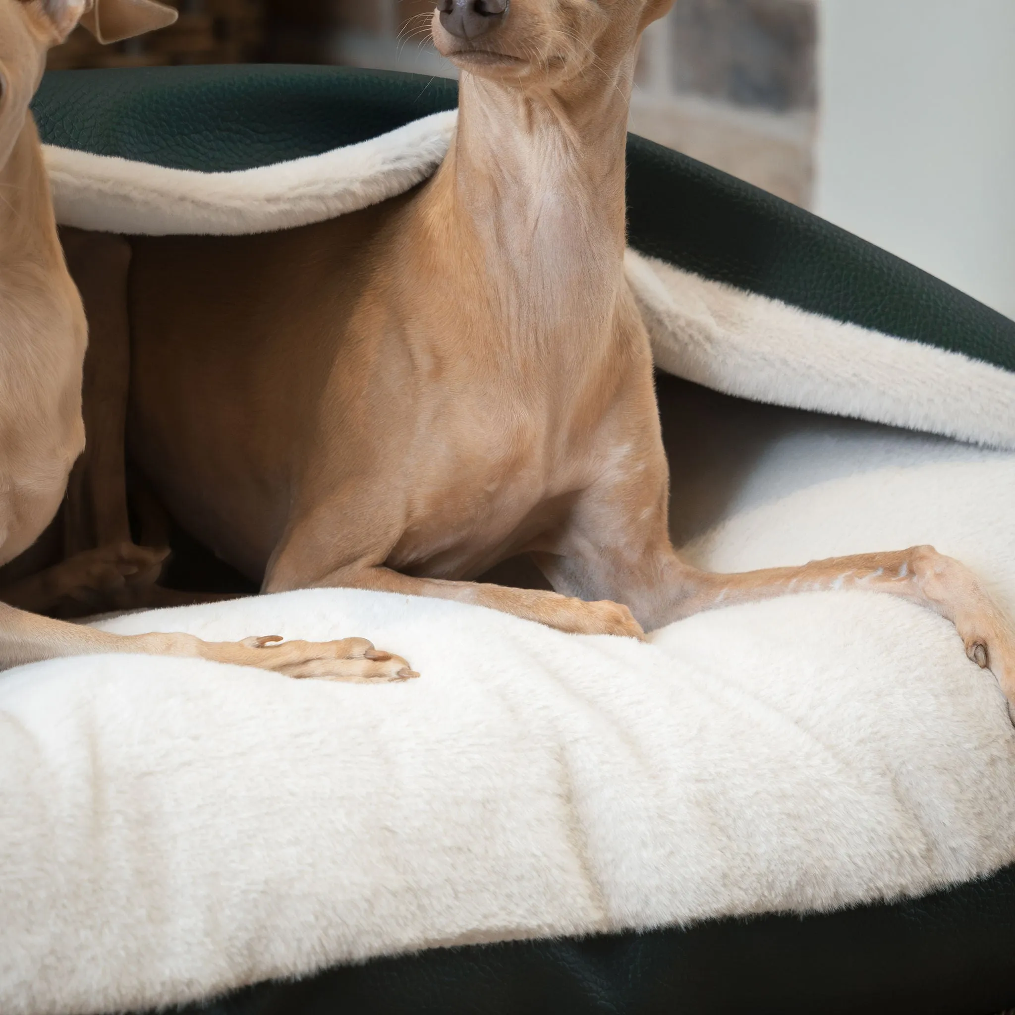 Sleepy Burrows Bed in Forest Rhino Tough Faux Leather by Lords & Labradors