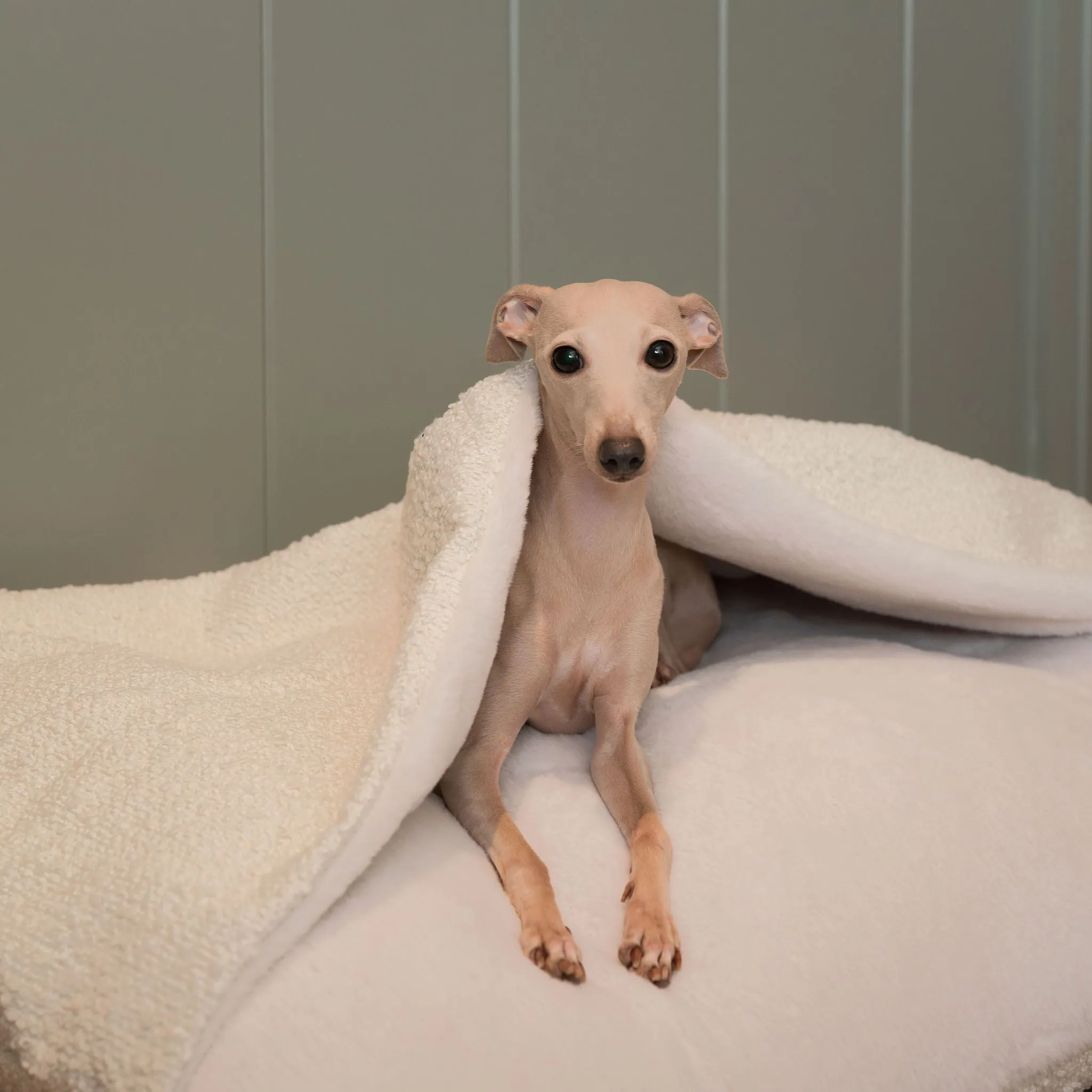 Sleepy Burrows Bed in Ivory Bouclé by Lords & Labradors