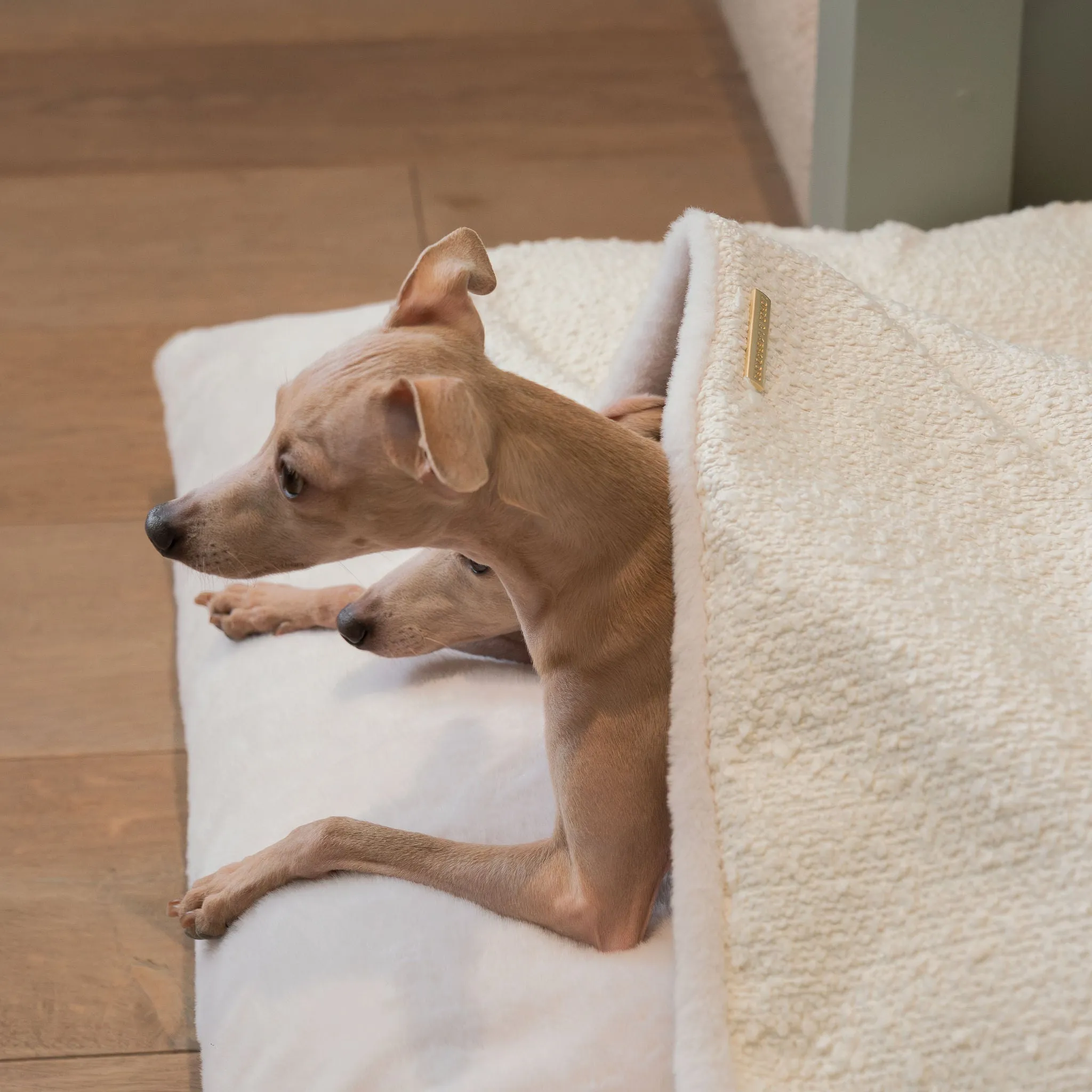 Sleepy Burrows Bed in Ivory Bouclé by Lords & Labradors