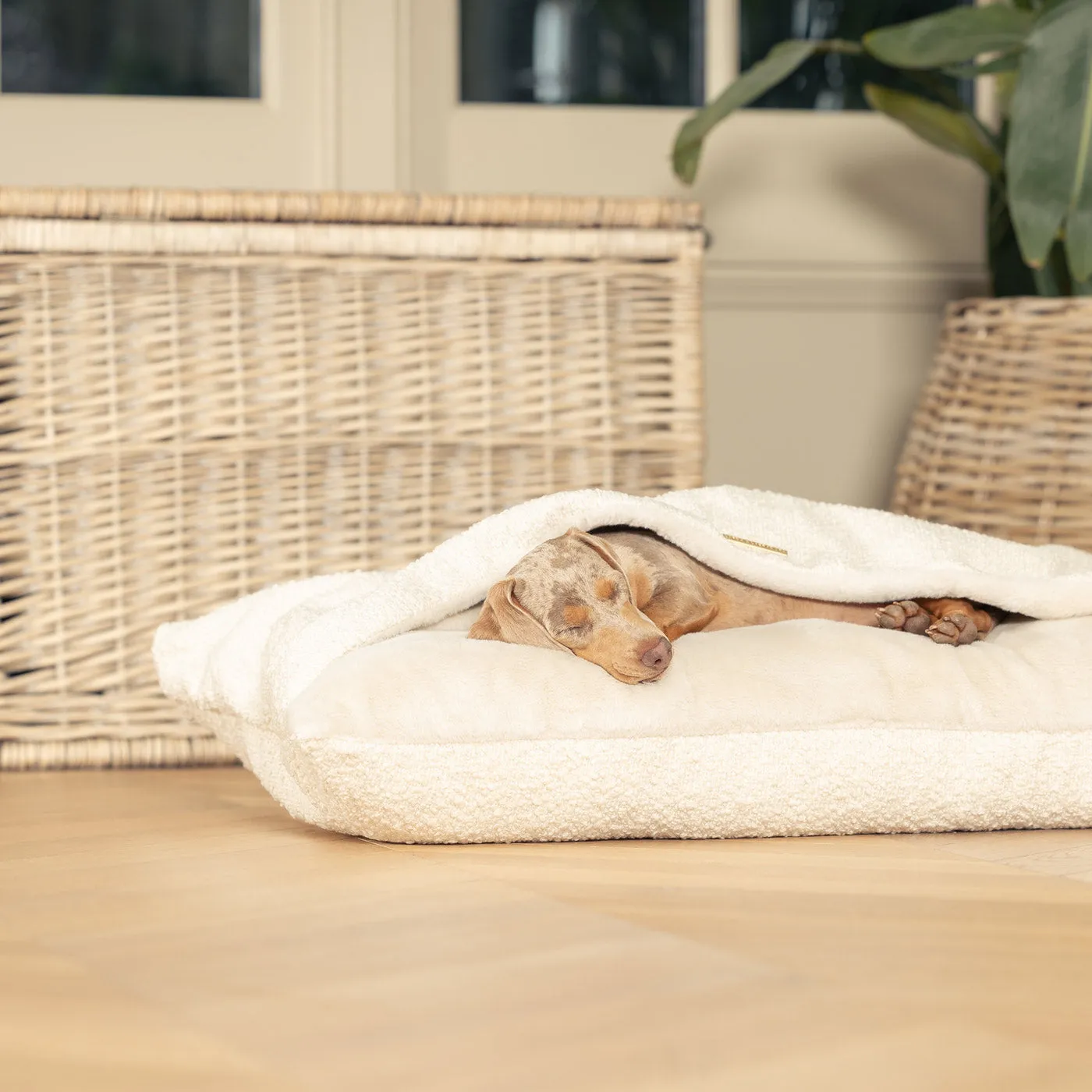 Sleepy Burrows Bed in Ivory Bouclé by Lords & Labradors