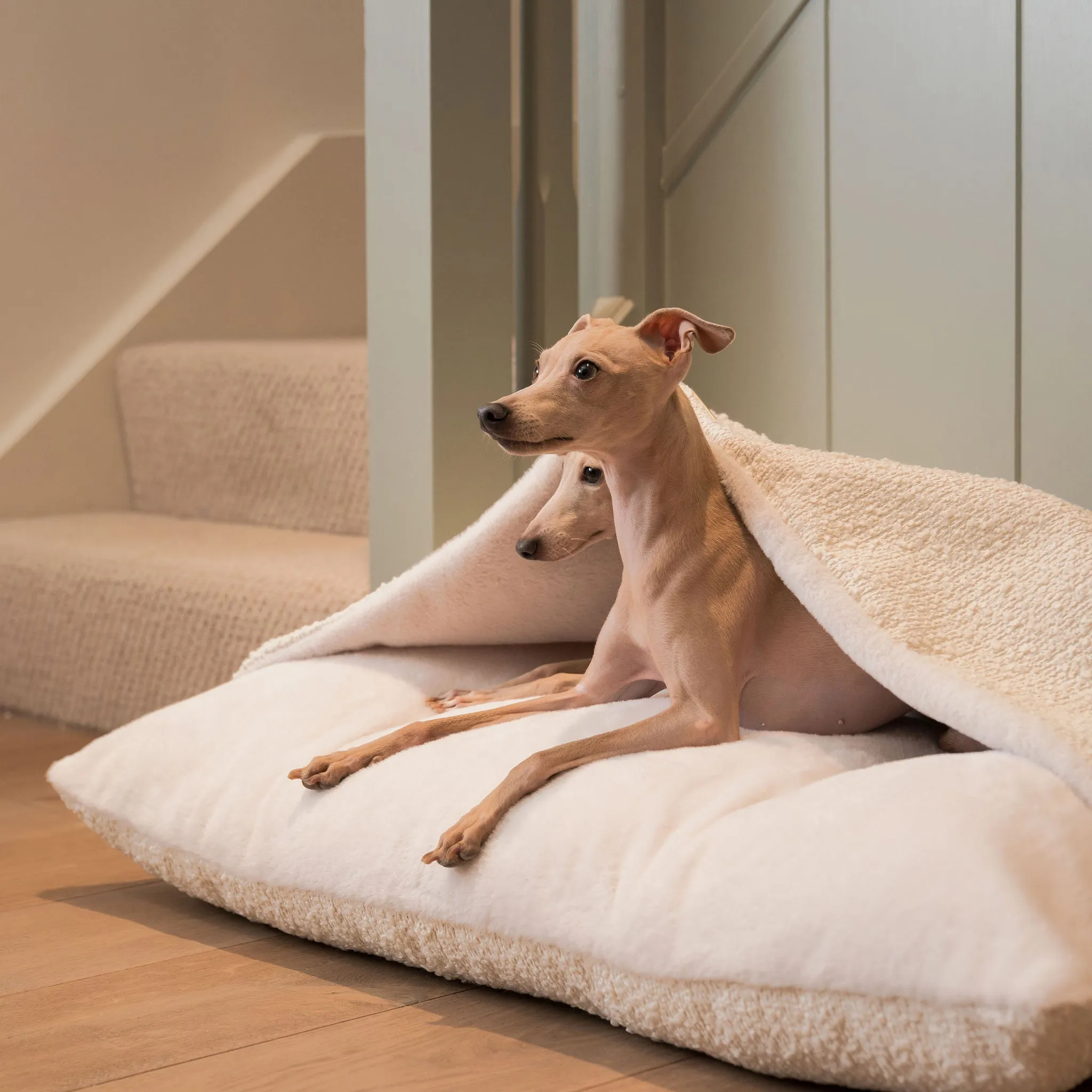 Sleepy Burrows Bed in Ivory Bouclé by Lords & Labradors