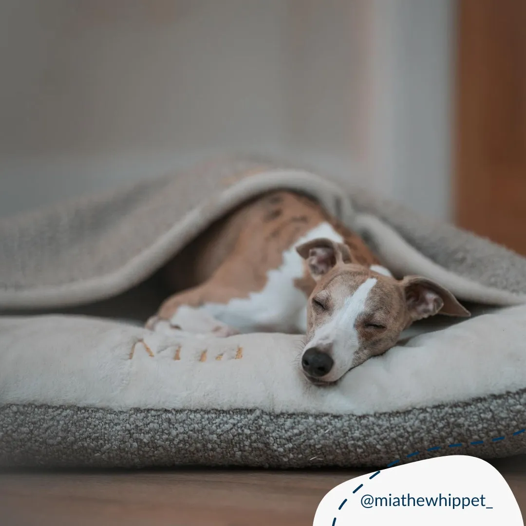 Sleepy Burrows Bed With Removable Cover in Mink Bouclé by Lords & Labradors