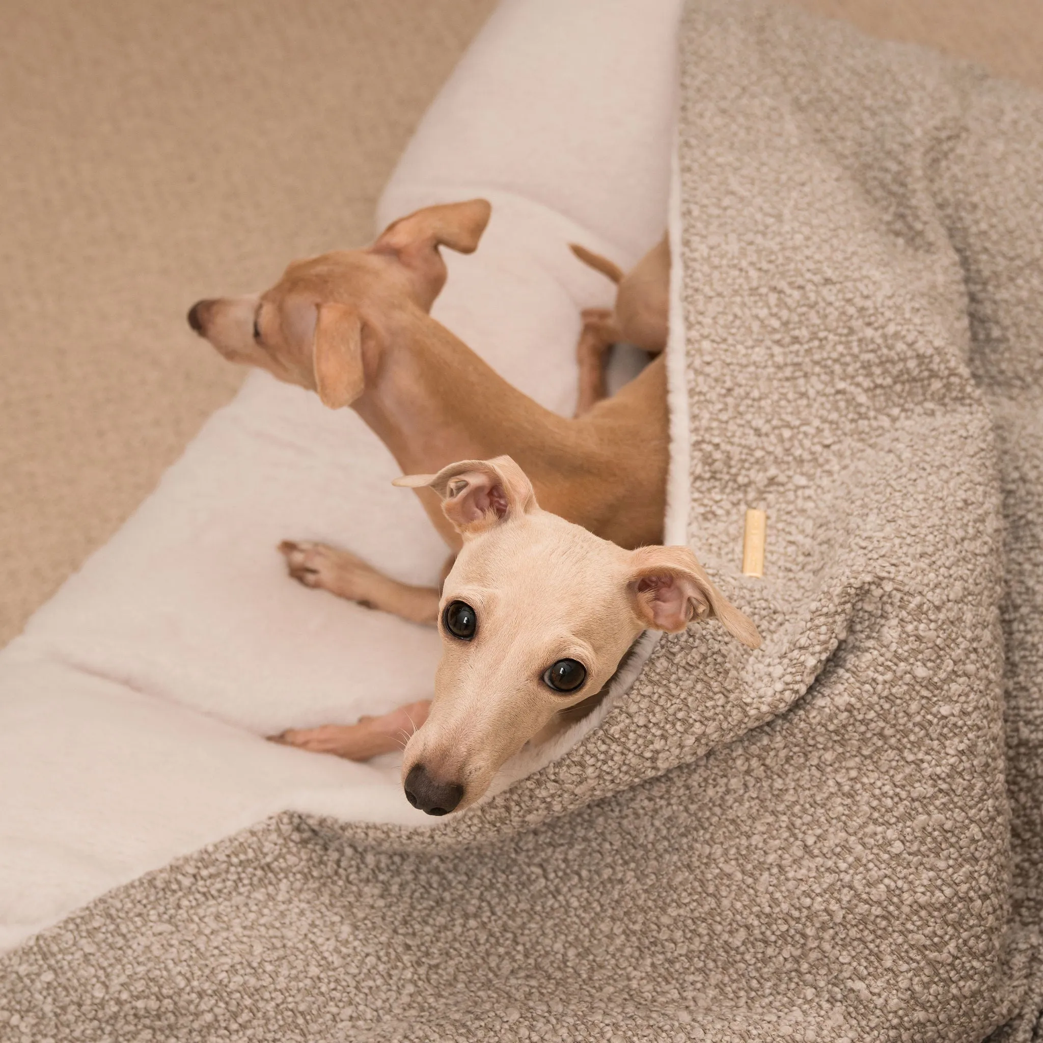 Sleepy Burrows Bed With Removable Cover in Mink Bouclé by Lords & Labradors