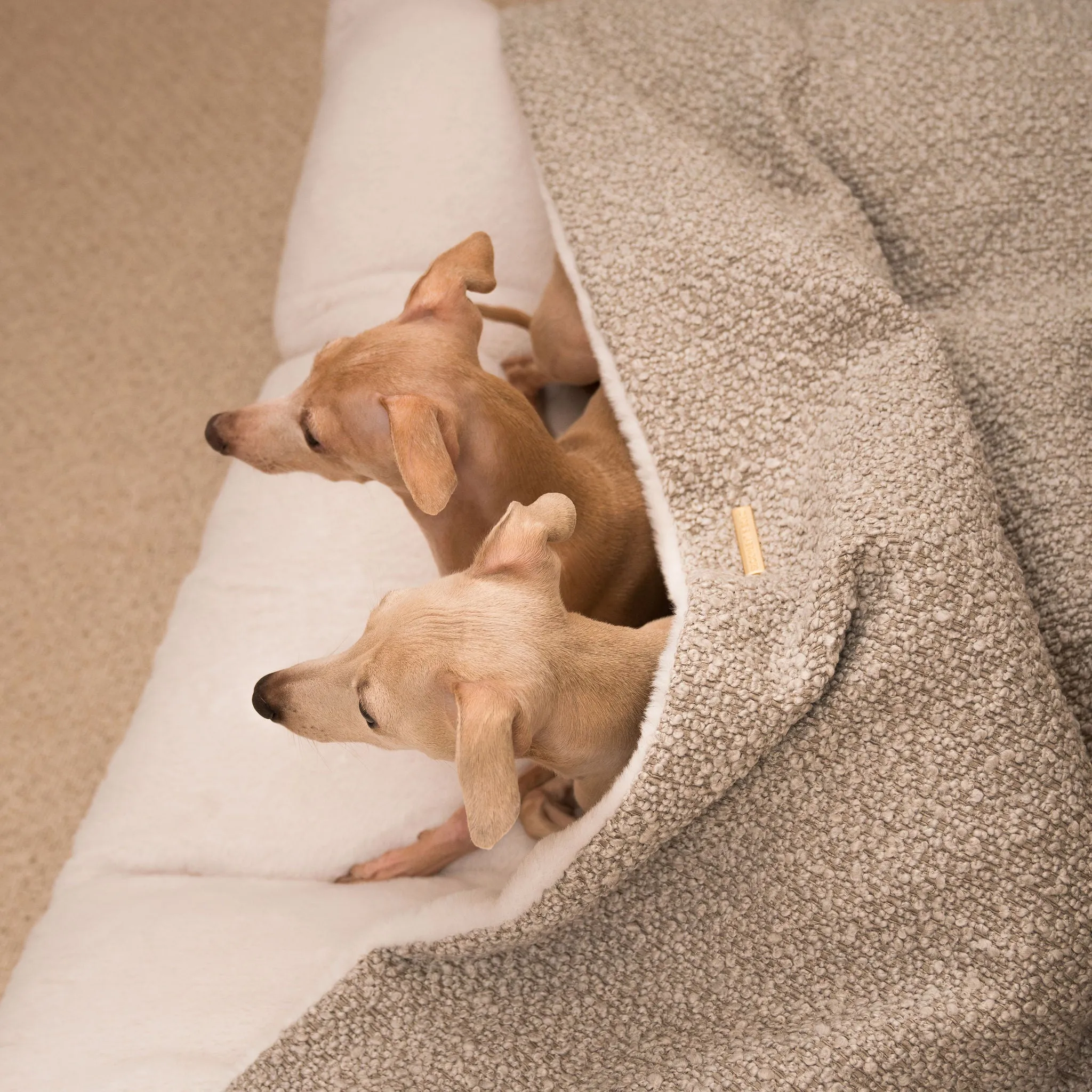 Sleepy Burrows Bed With Removable Cover in Mink Bouclé by Lords & Labradors