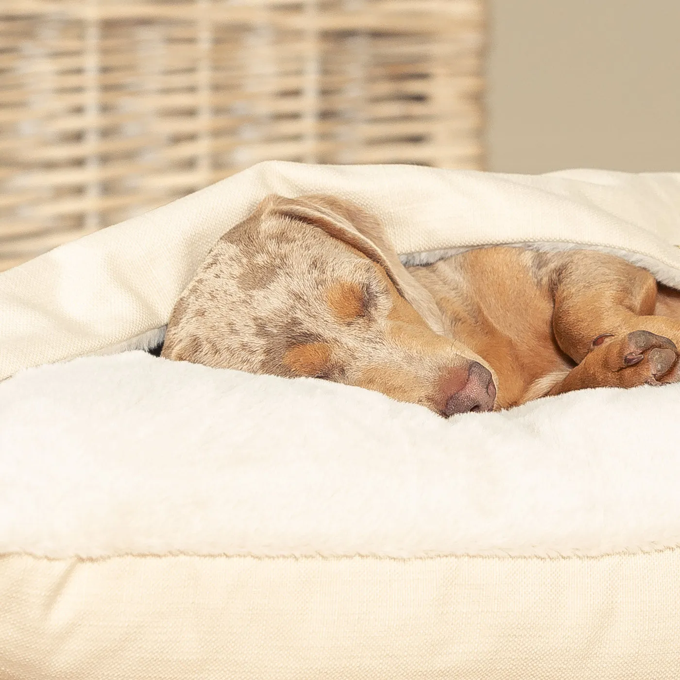 Sleepy Burrows Bed With Removable Cover in Savanna Bone by Lords & Labradors