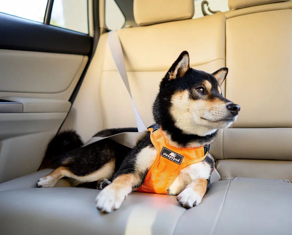 Sleepypod Clickit Terrain Crash-Tested Dog Car Harness