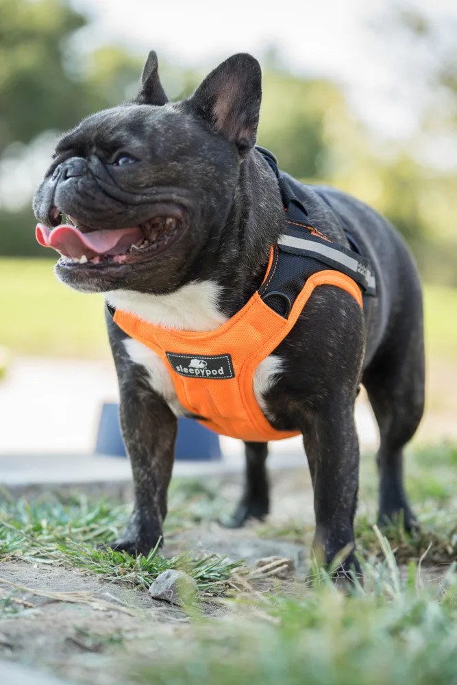 Sleepypod Clickit Terrain Crash-Tested Dog Car Harness