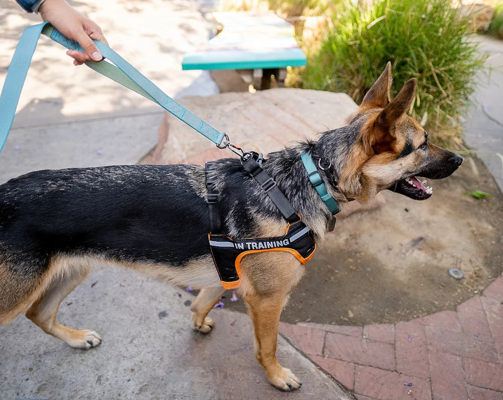 Sleepypod Clickit Terrain Crash-Tested Dog Car Harness