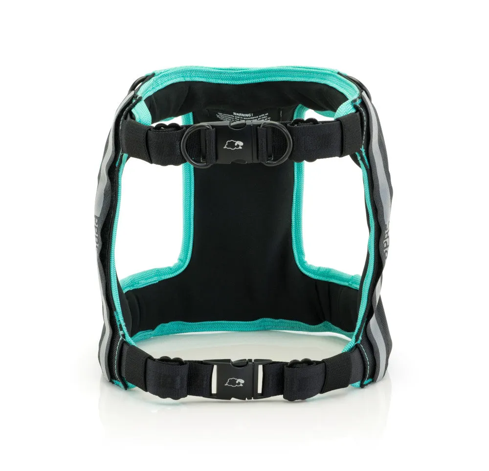 Sleepypod Clickit Terrain Crash-Tested Dog Car Harness