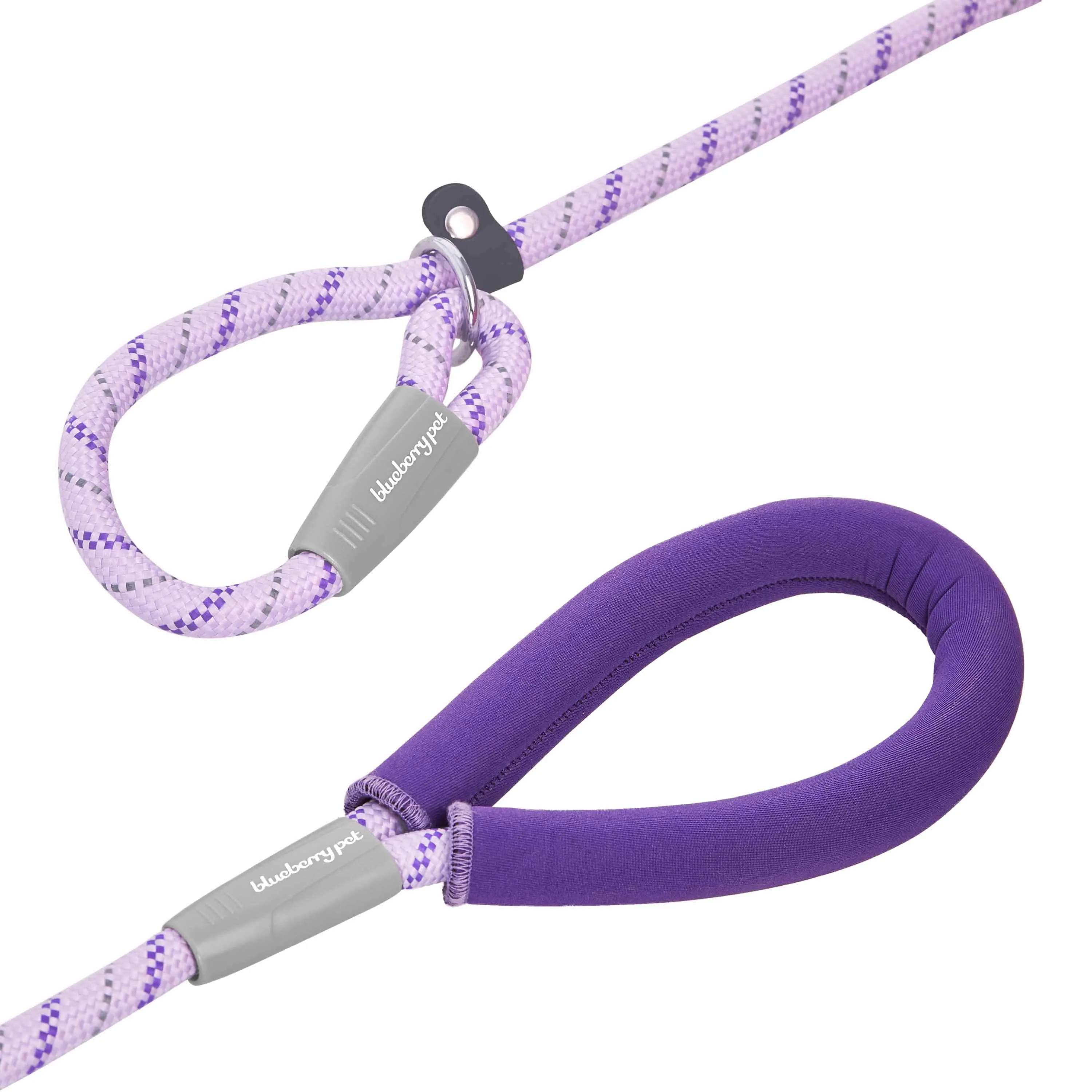 Slip Lead Rope Dog Leash, Slip Collar Training Lead with Neoprene Handle in Diagonal Striped, 6 ft