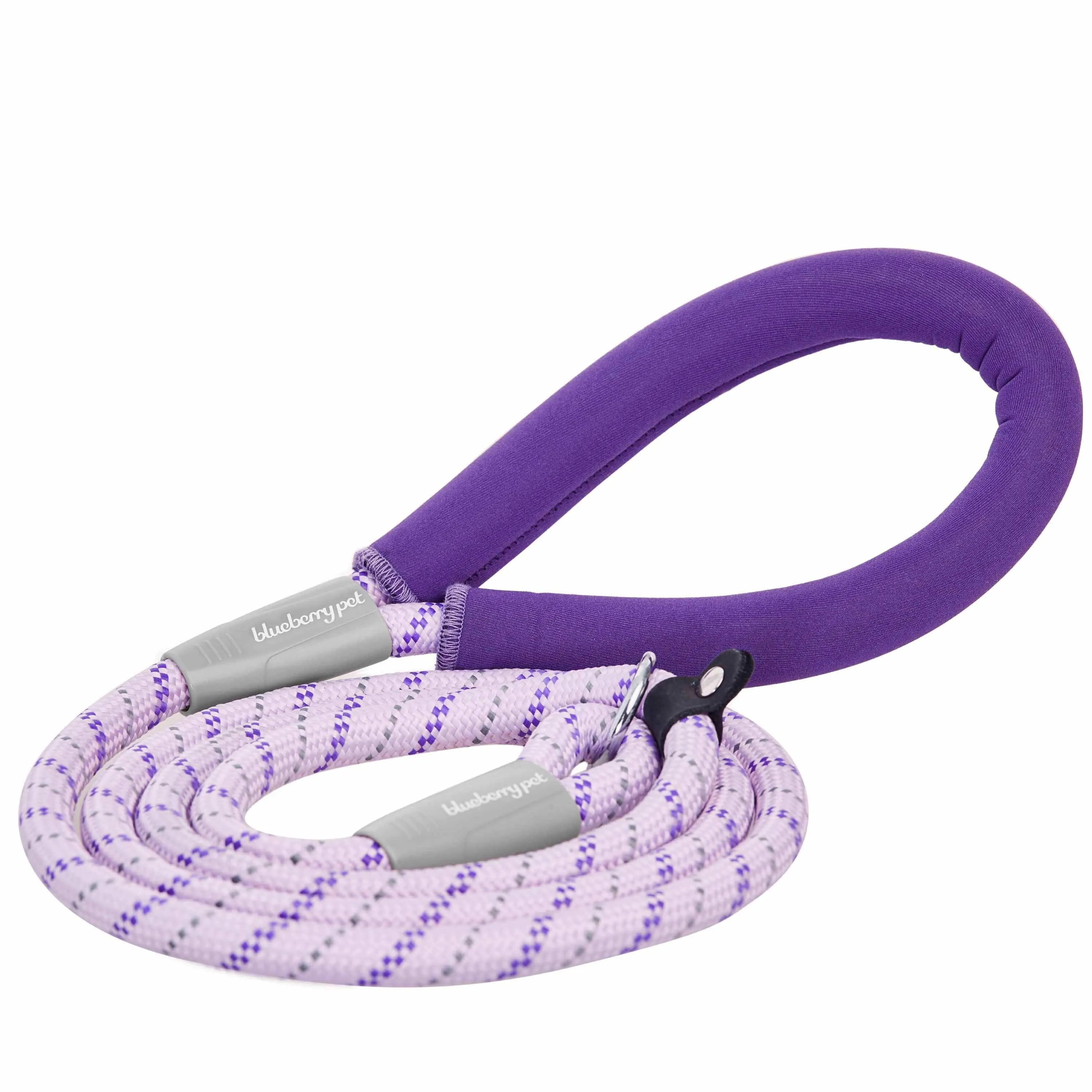 Slip Lead Rope Dog Leash, Slip Collar Training Lead with Neoprene Handle in Diagonal Striped, 6 ft