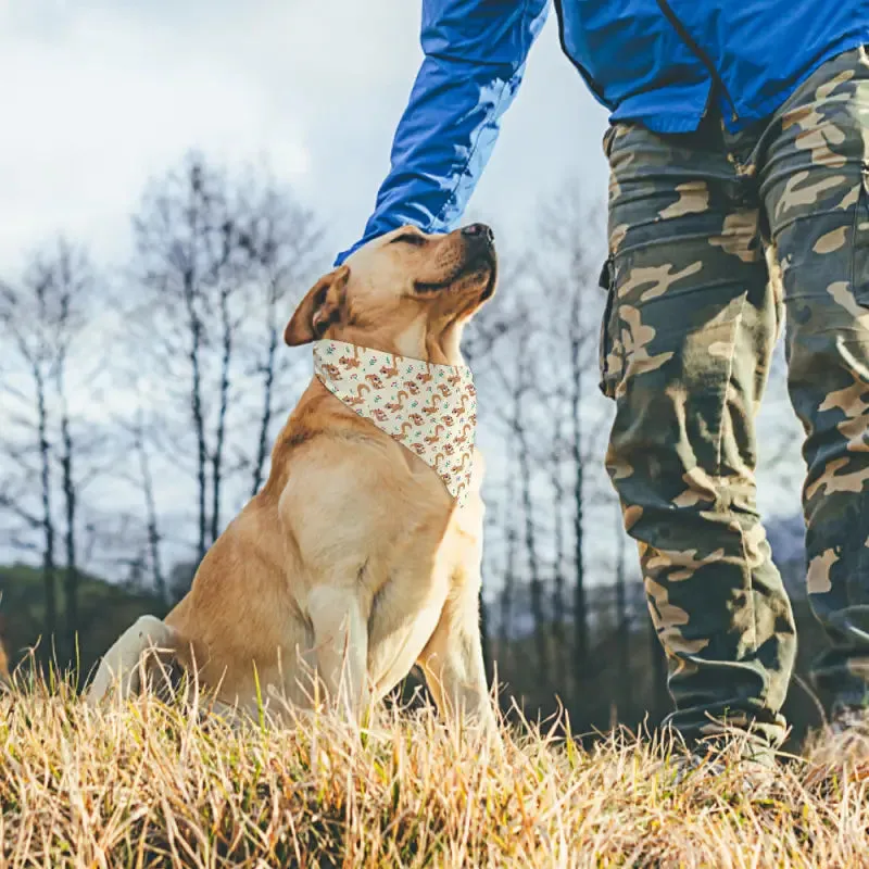 Squirrel Pet Bandana for Your Stylish Furry Friend