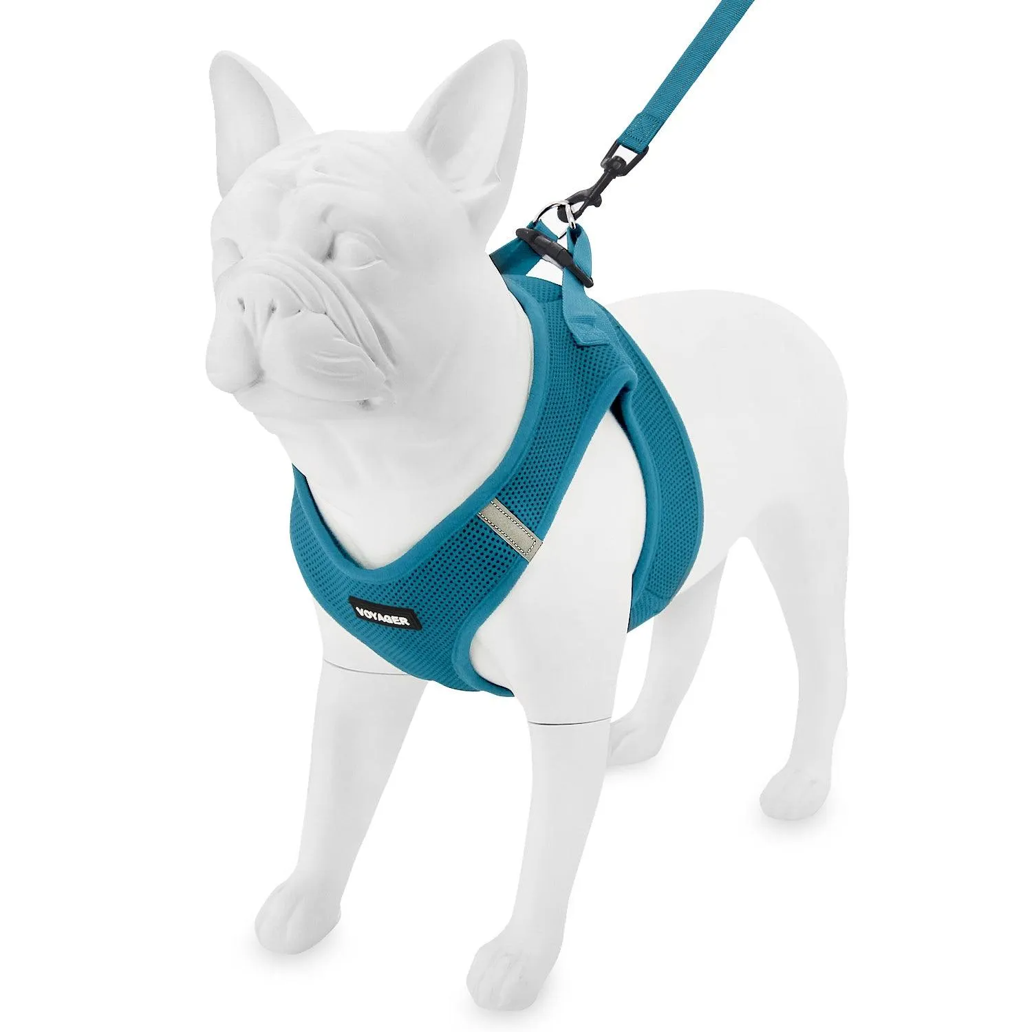 Step-In Air Harness & Leash Set with Matching Trim