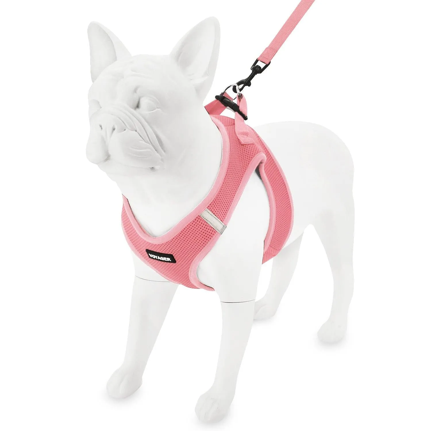 Step-In Air Harness & Leash Set with Matching Trim