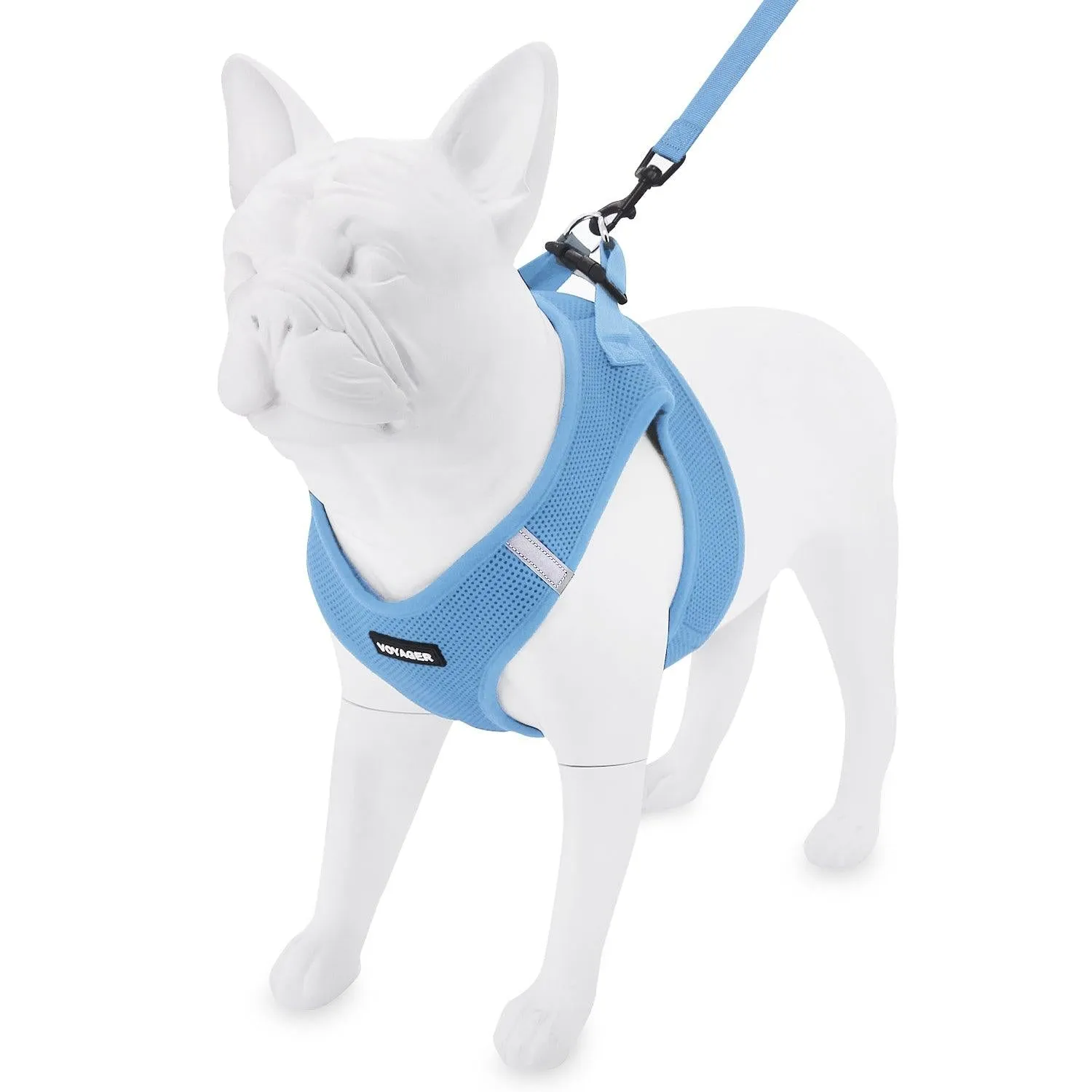 Step-In Air Harness & Leash Set with Matching Trim