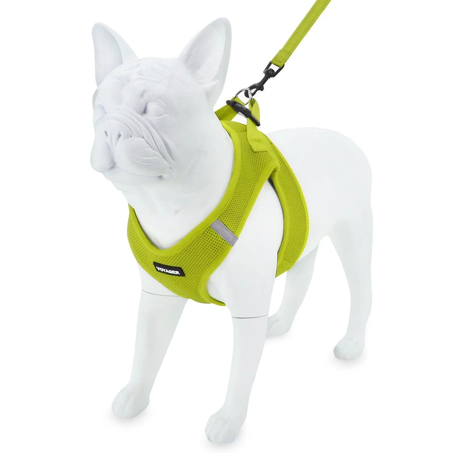 Step-In Air Harness & Leash Set with Matching Trim