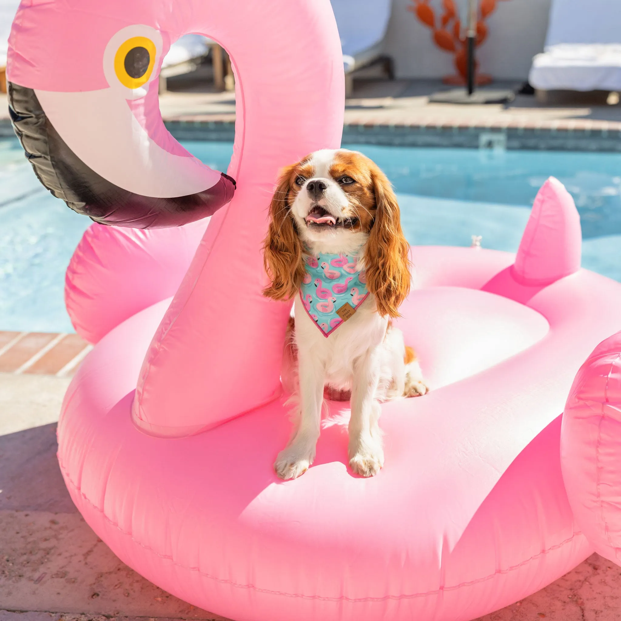 The Foggy Dog Bandana - Flamingo Floaties