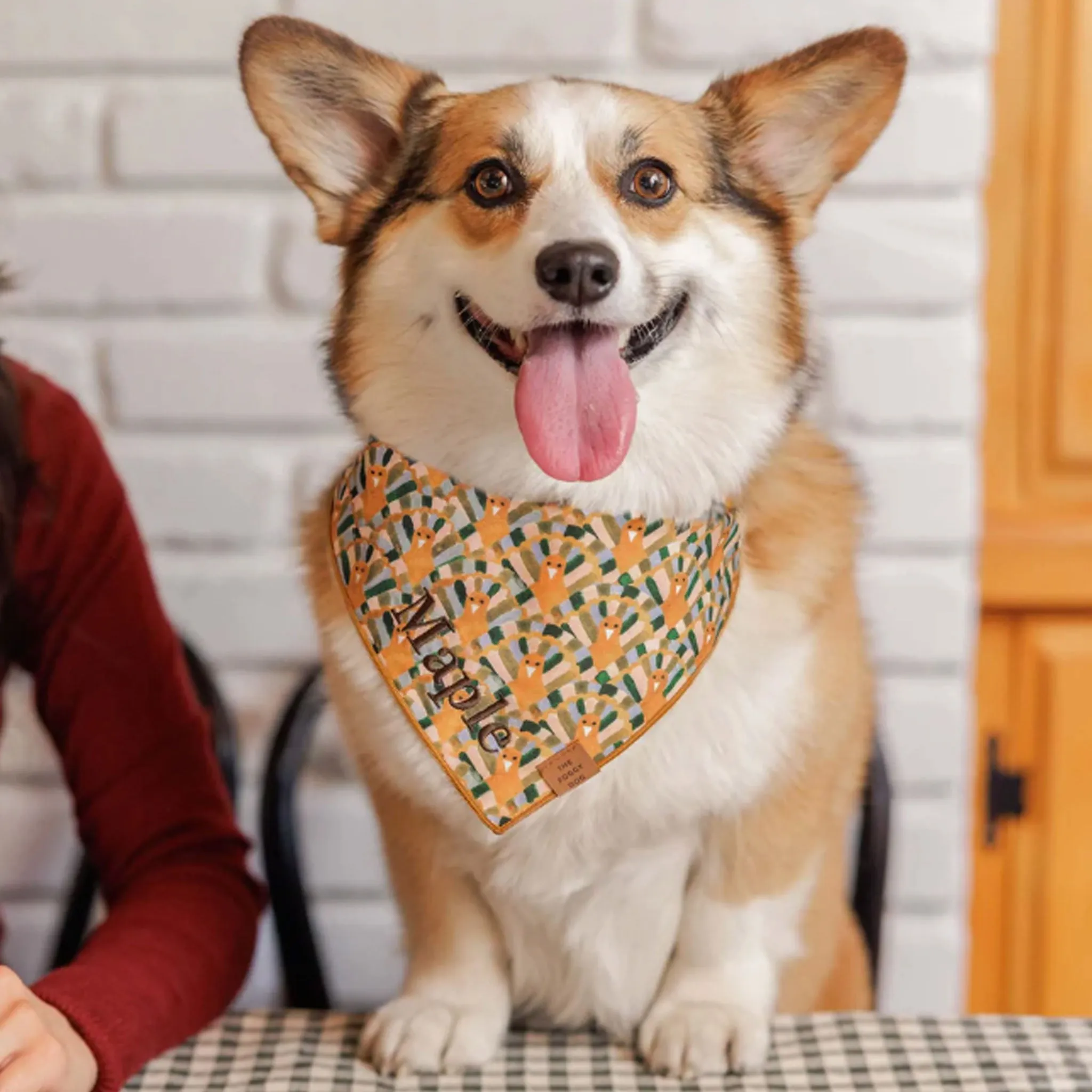 The Foggy Dog Bandana - Gobble Gobble