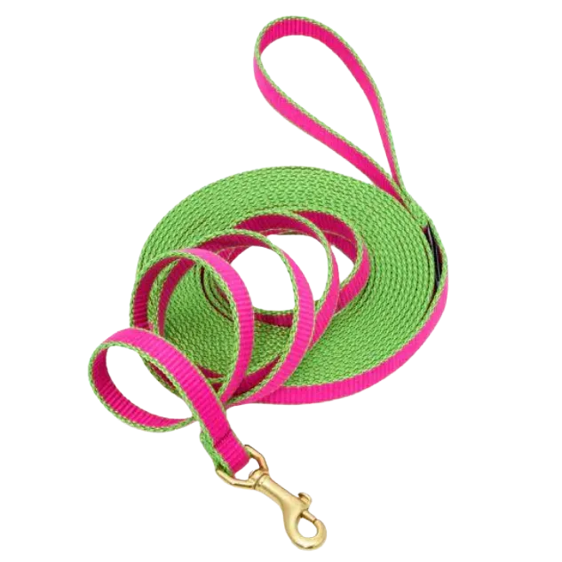 Training Leash | Bright Pink & Lime