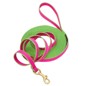 Training Leash | Bright Pink & Lime