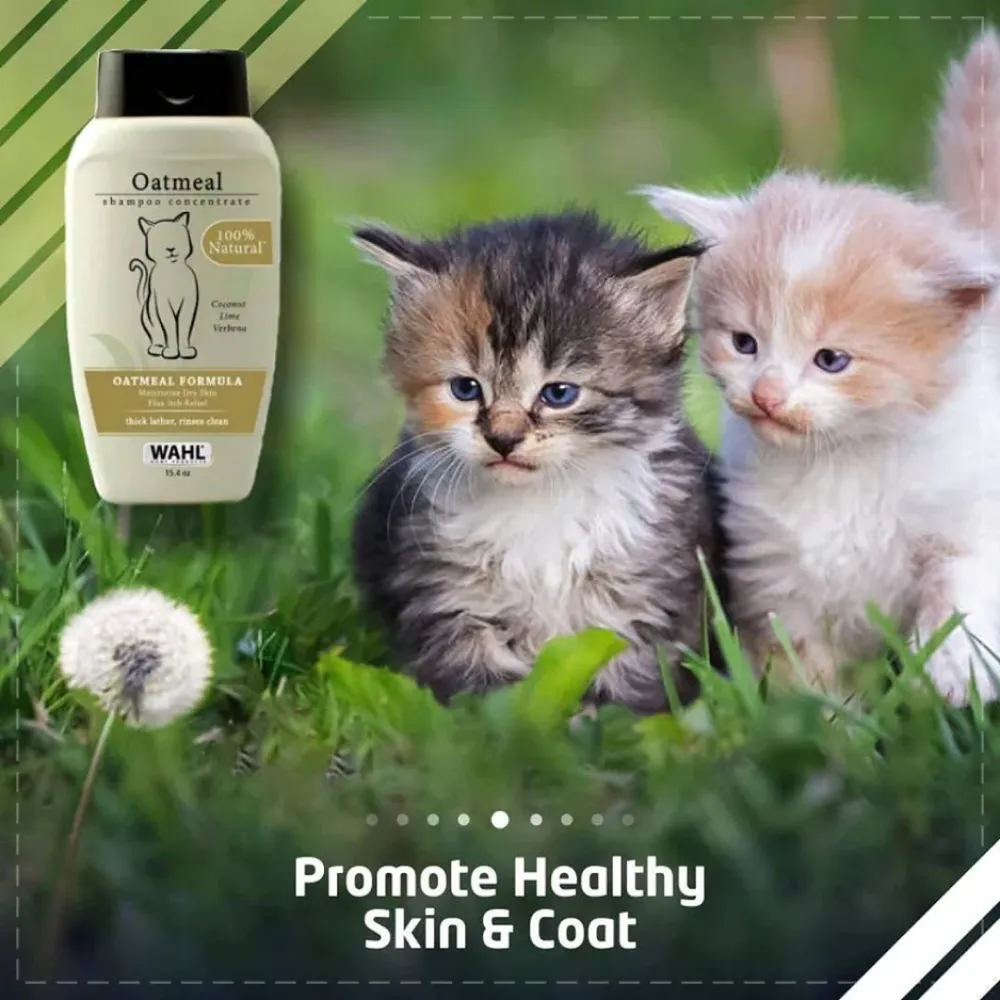 Wahl Oatmeal Shampoo for Cats