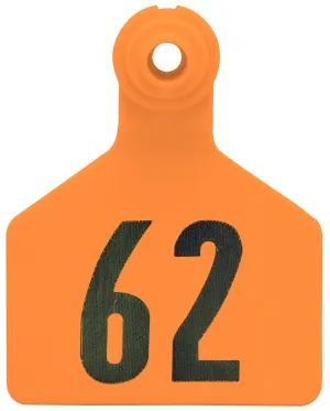 Z2 2-Piece Large Numbered Tags, Orange